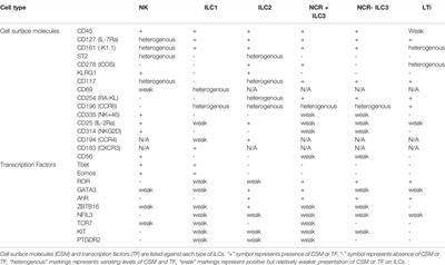 The Role of Innate Lymphoid Cells in Cancer Development and Immunotherapy